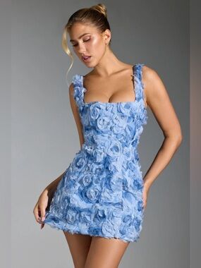 NEW Oh Polly Posy Blue Floral Appliqué Corset 3D Mini Dress Women Size 6
